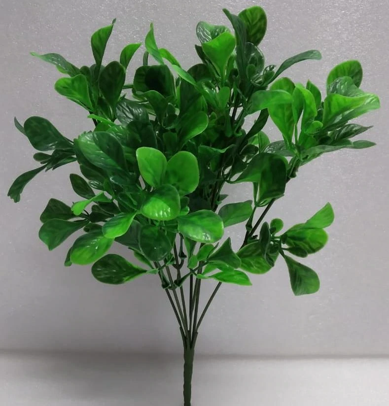 Mint Leaves Bunch x7